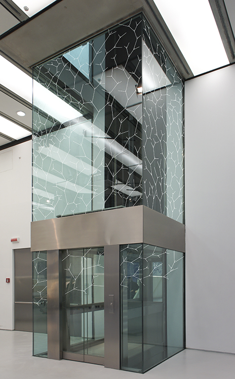 Bianco-Valente, Convergenza Evolutiva, 2010, Museo MAXXI, Roma