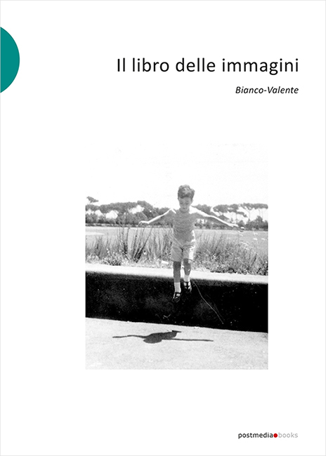 Bianco-Valente, Il libro delle immagini, 2020, copertina del volume, Postmedia Books