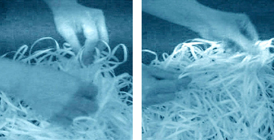 Bianco-Valente, Time-shaped Memories, 2009