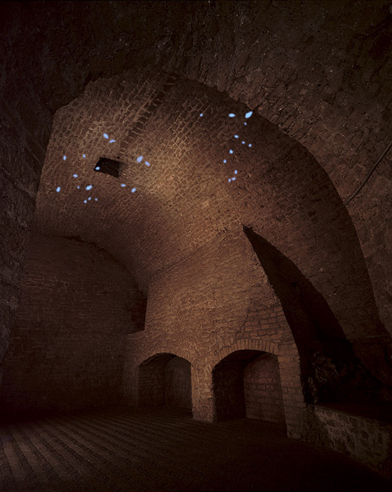 Bianco-Valente, Volatile, 2001, installazione, Museo Castel Sant'Elmo, Napoli