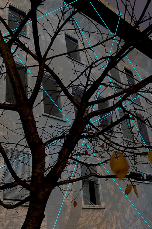 Relational, installation by Bianco-Valente, Italian Cultural Institute, Stockholm 2018